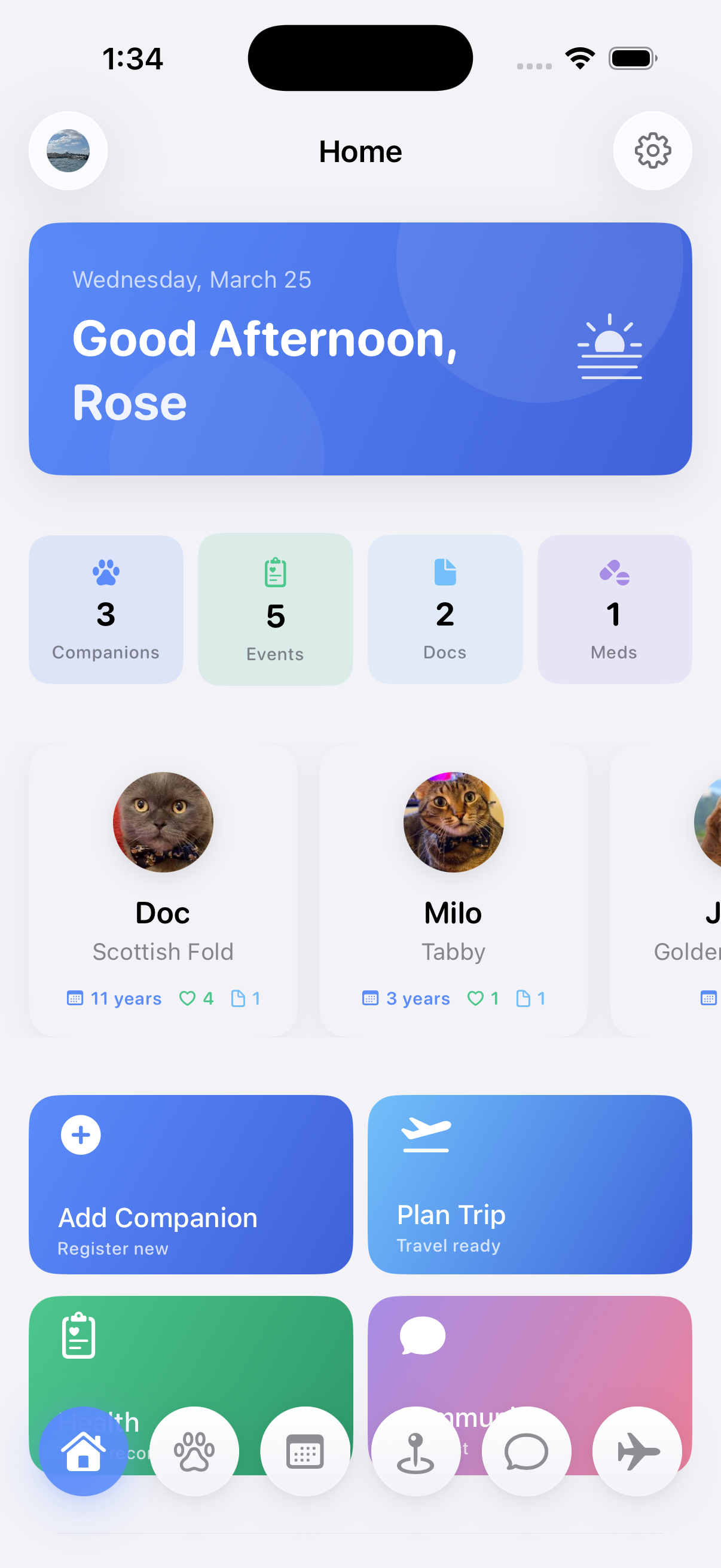 Pasiko app dashboard