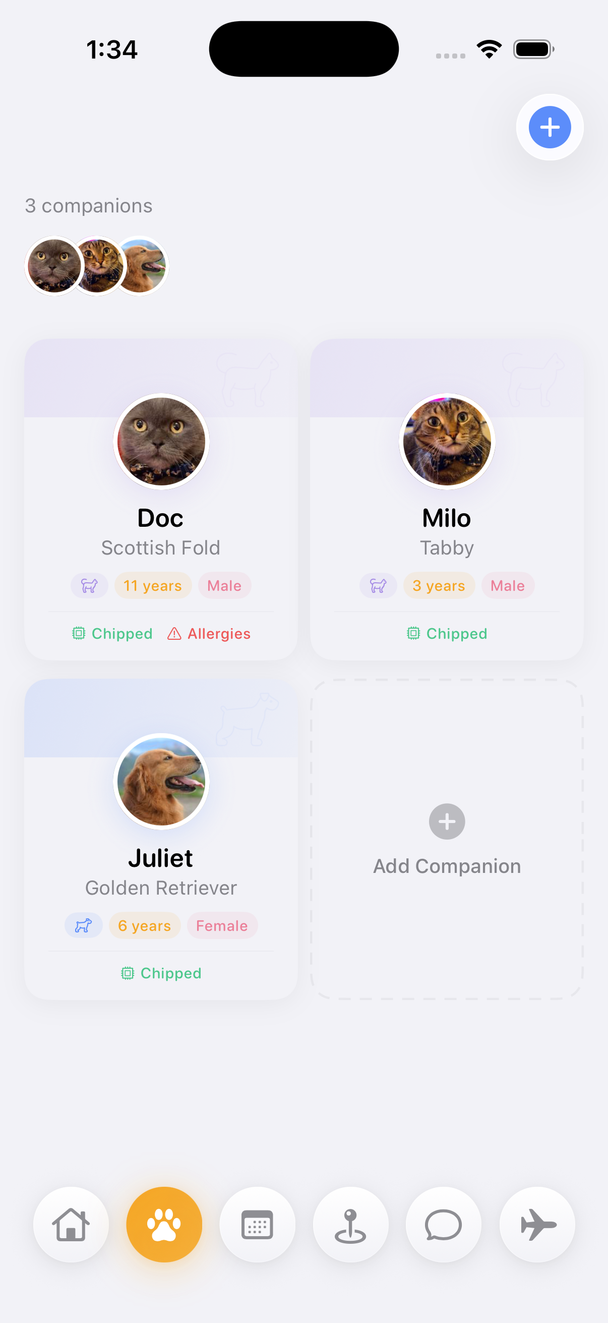 Companions